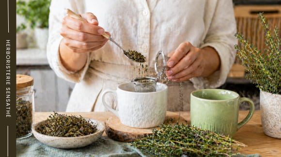 Infusion de thym médicinale préparée avec du thym séché en vrac et un infuseur - Herboristerie Sensathé